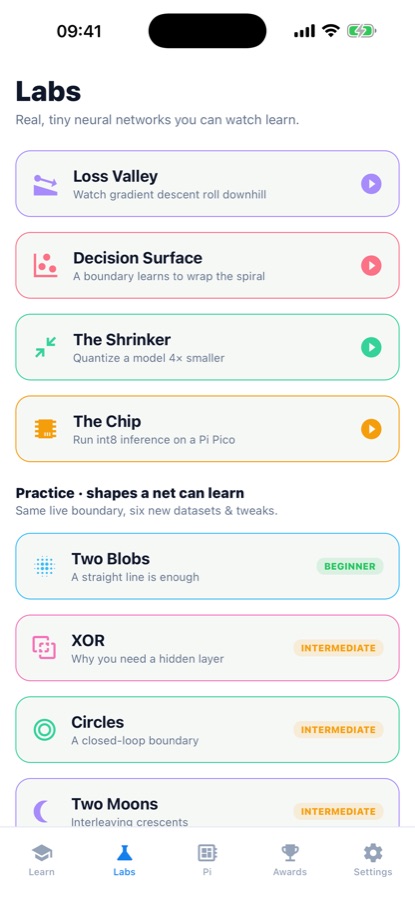 AI Lab Labs tab listing the Loss Valley, Decision Surface, Shrinker and Chip labs, plus practice datasets including Two Blobs and XOR