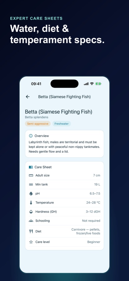 Species care sheet for the Betta showing an overview paragraph and a table of adult size, minimum tank, pH, temperature, hardness, schooling, diet and care level