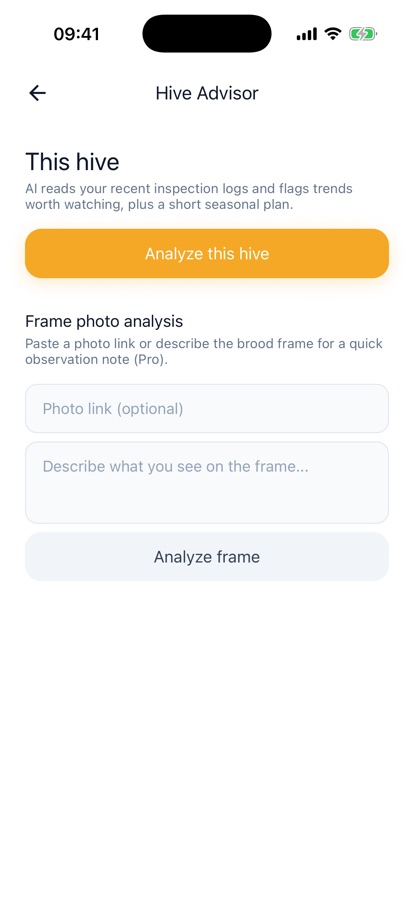Hive advisor screen answering a beekeeping question in plain English