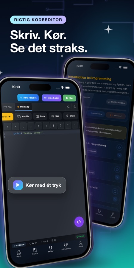 Skærmbillede fra Lær Python i praksis 4